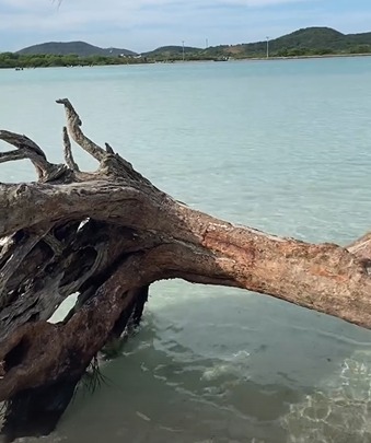 Ilha do Japonês Cabo Frio- Como fazer a travessia  a pé